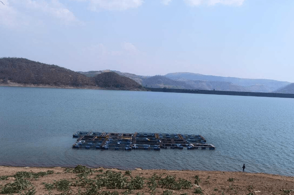 Fish cages in a mountain reservoir_forest rights