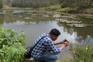 Man photographing aquatic plants near a pond with lily pads, surrounded by thick green plants and forested hills in the background_environmental conservation