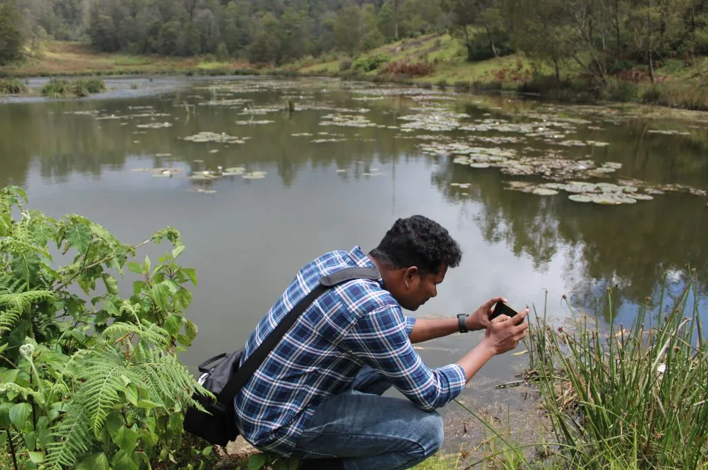 Man photographing aquatic plants near a pond with lily pads, surrounded by thick green plants and forested hills in the background_environmental conservation
