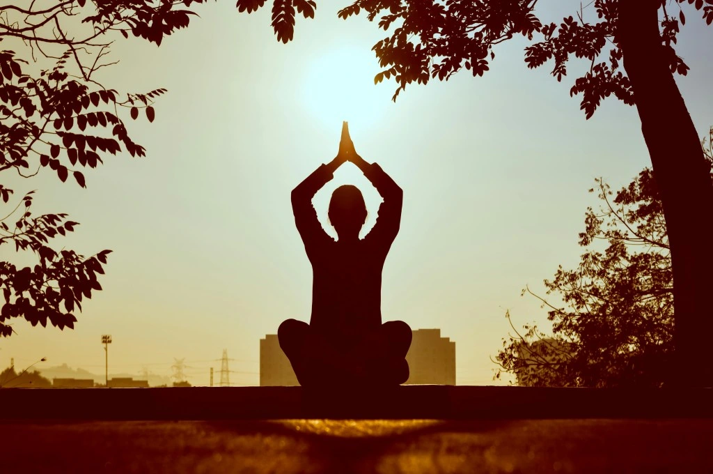 silhouette of a person sitting under a tree, with their arms raised over their head and their hands joined--nonprofit humour