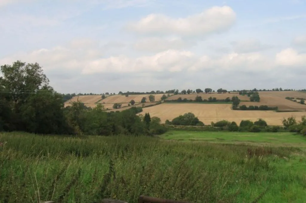 green fields, with those farther away cut into neat plots, and blue skies with some clouds--gramdan