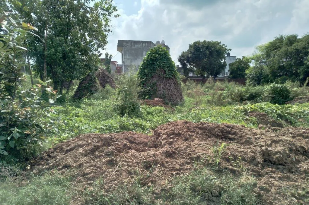 a field with a small silo covered with weeds--gramdan