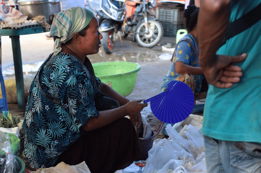 a woman street vendor in dimapur, nagaland, holding a blue plastic fan; next to her are white plastic bags on the floor--climate adaptation 