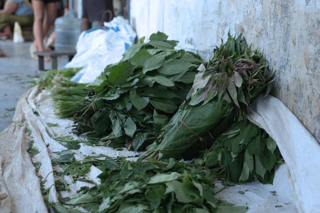 bundles of spinach for sale in dimapur, nagaland--climate adaptation