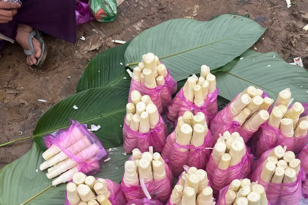 bamboo shoot tied up in bundles for sale--bamboo shoot