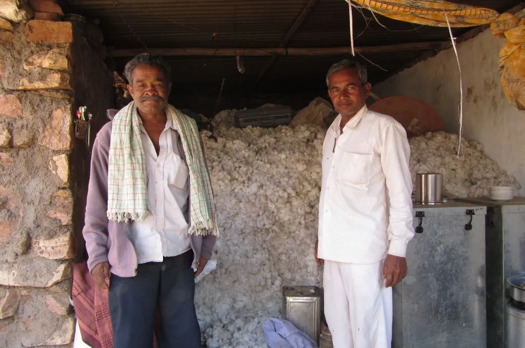 two cotton farmers standing in front of a room full of picked cotton--organic cotton farming