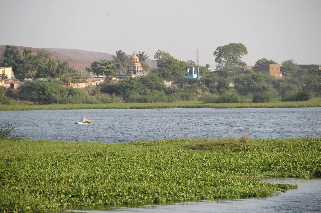 a man on a boat fishing in a lake, with a temple and some hills in the background--