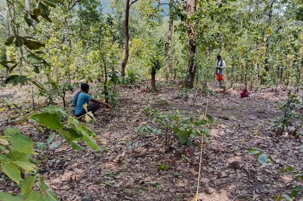 two men in a forest, one squatting on the floor and the other standing--Baiga