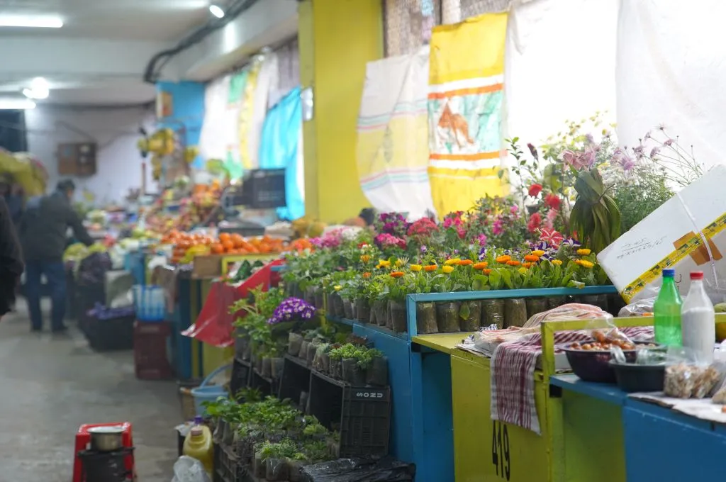 an indoor stall selling colourful flowers and other potted plants--street vendors