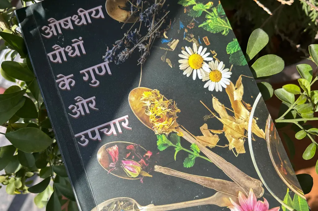 the cover of a book titled 