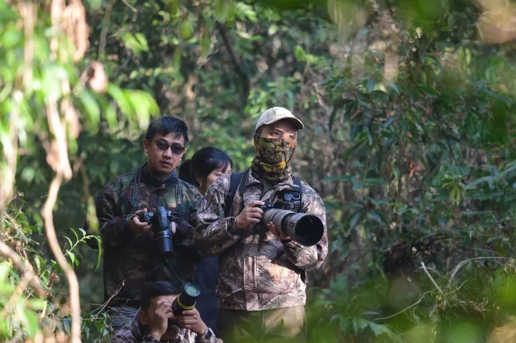 a group of people carrying cameras and binoculars birdwatching in mizoram's aizawl district--birdwatching