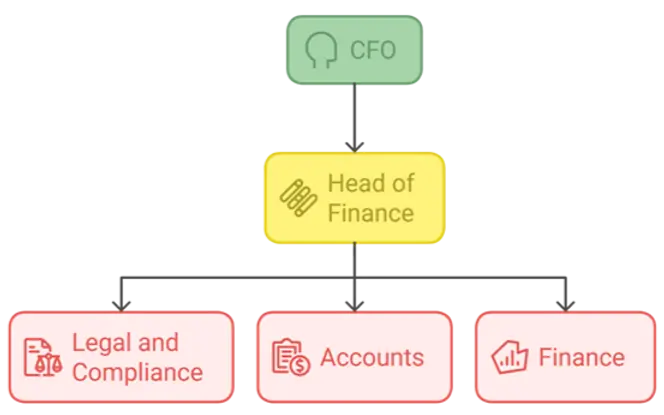 a chart showing a simple reimagined finance function for a nonprofit--finance function