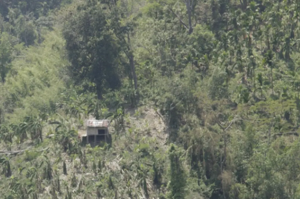 a farmer's hut in Mizoram's Mamit district surrounded by both jhum land and plantations--jhum farmers