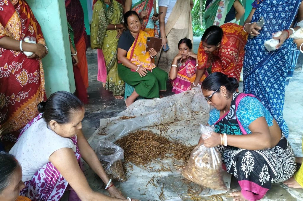 Group of women in colorful saris sit and stand together while two women sort and bag dried plant on a sheet indoors--agri policy india