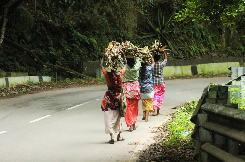 four women walking in single file with bundles of sticks atop their heads--non timber forest products
