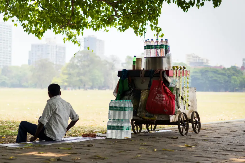 a street vendor sitting under a tree with his cart, loaded with plastic water bottles, next to him--urban heat in India