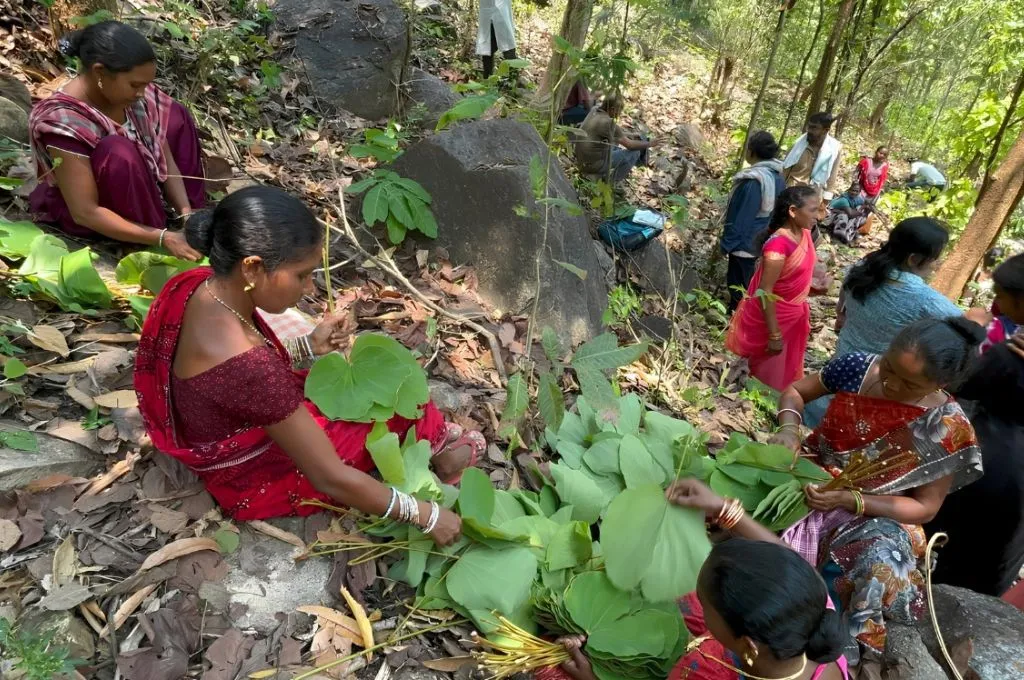 Women sit on a forest hillside and gather large green leaves in bundles. More people stand and work among rocks and trees in the background--carbon markets