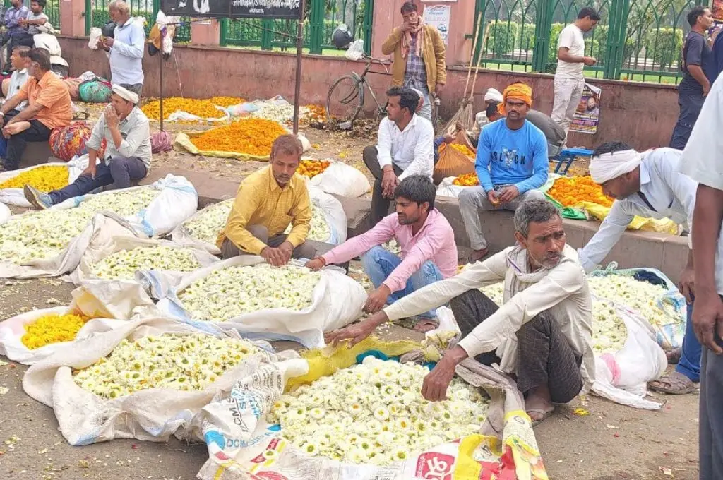 flower sellers sitting on the ground in a market area--floriculture