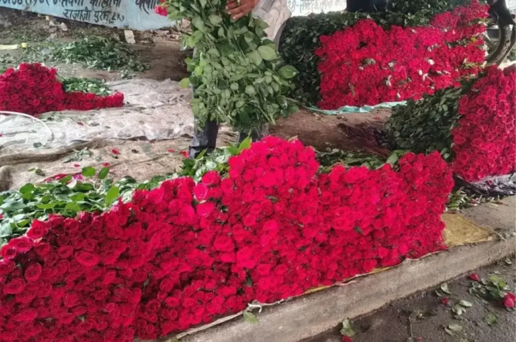 bundles of red flowers lying on a footpath--floriculture