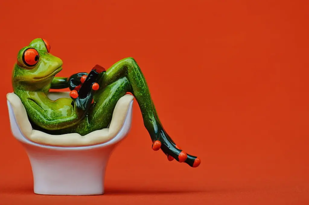 a bright green frog sitting on a chair with its legs hanging out holding a device; the background of the image is bright red--nonprofit humour
