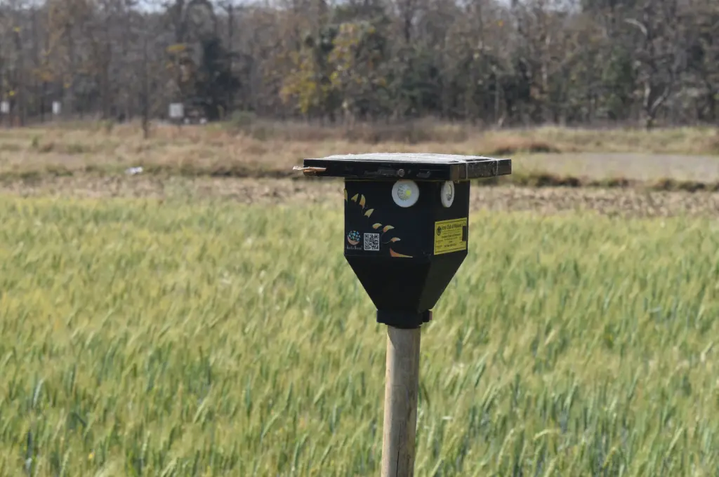 a solar light in a field--Pench tiger reserve