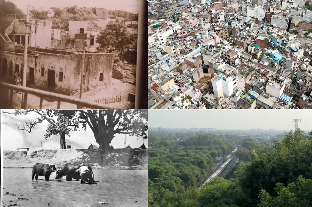 a collage of four photos; two are archival images of Delhi's Ridge area, one shows a dense urban settlement, and one is of a metro line passing through the Ridge area--urban villages in Delhi