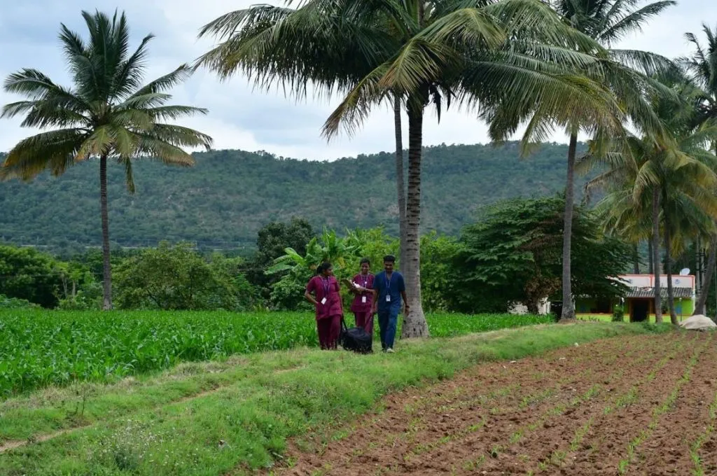 two women in purple scrubs and a man in navy blue scrubs walking through a field--palliative care