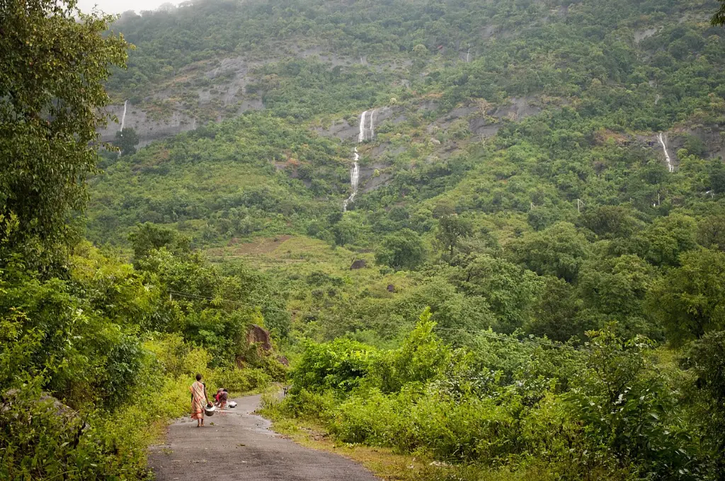 people walking on a road in the eastern ghats during monsoon season; in the distance there are waterfalls--biodiversity