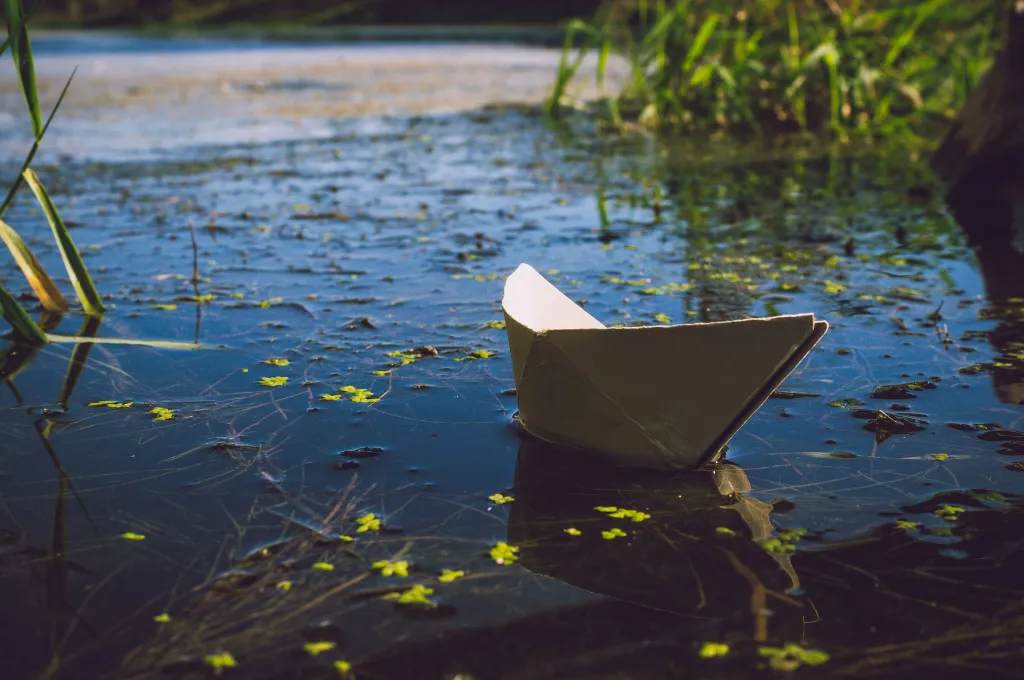a white paper boat floating on the surface of a pond littered with small yellow blossoms--civil society India