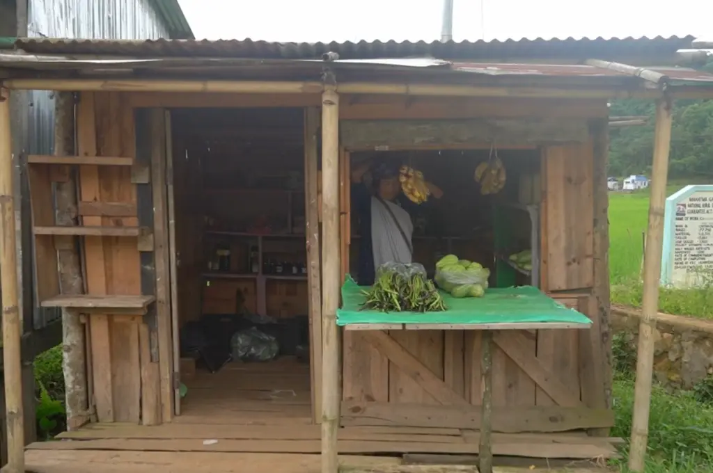 a grocer setting up a fruit and vegetable stall--woman village headman