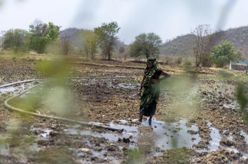 a woman standing in a tilled field that is being irrigated--fertilisers