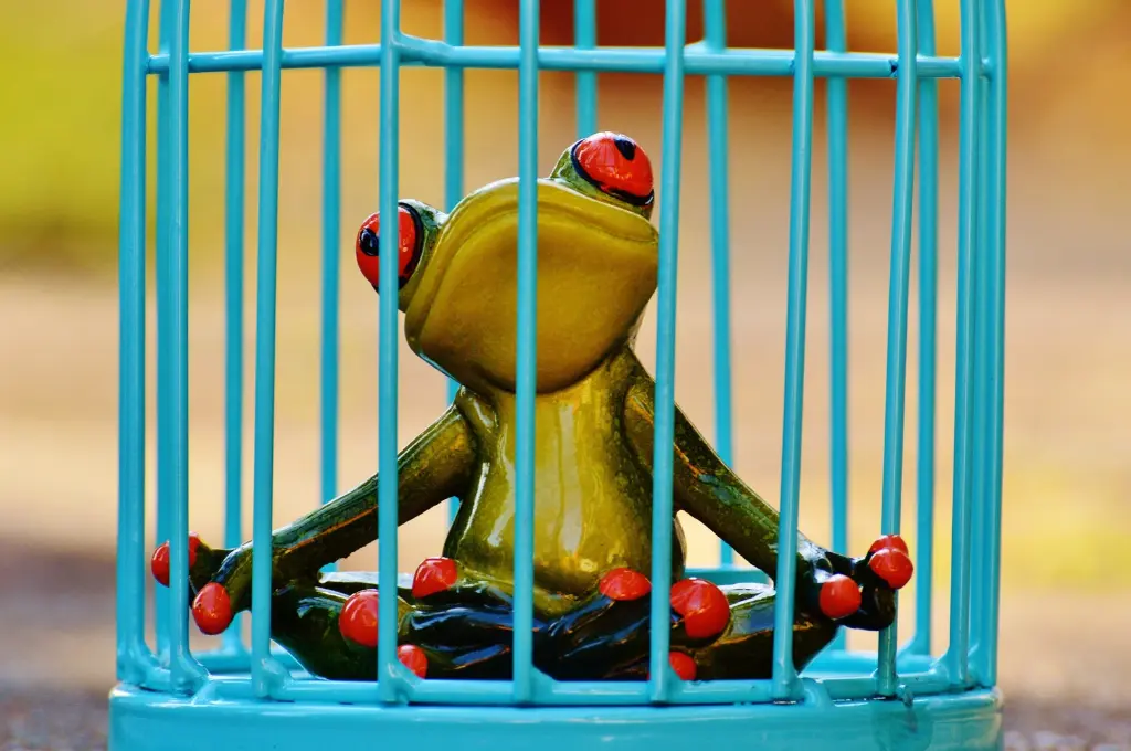 a bright green frog in a blue cage--nonprofit humour