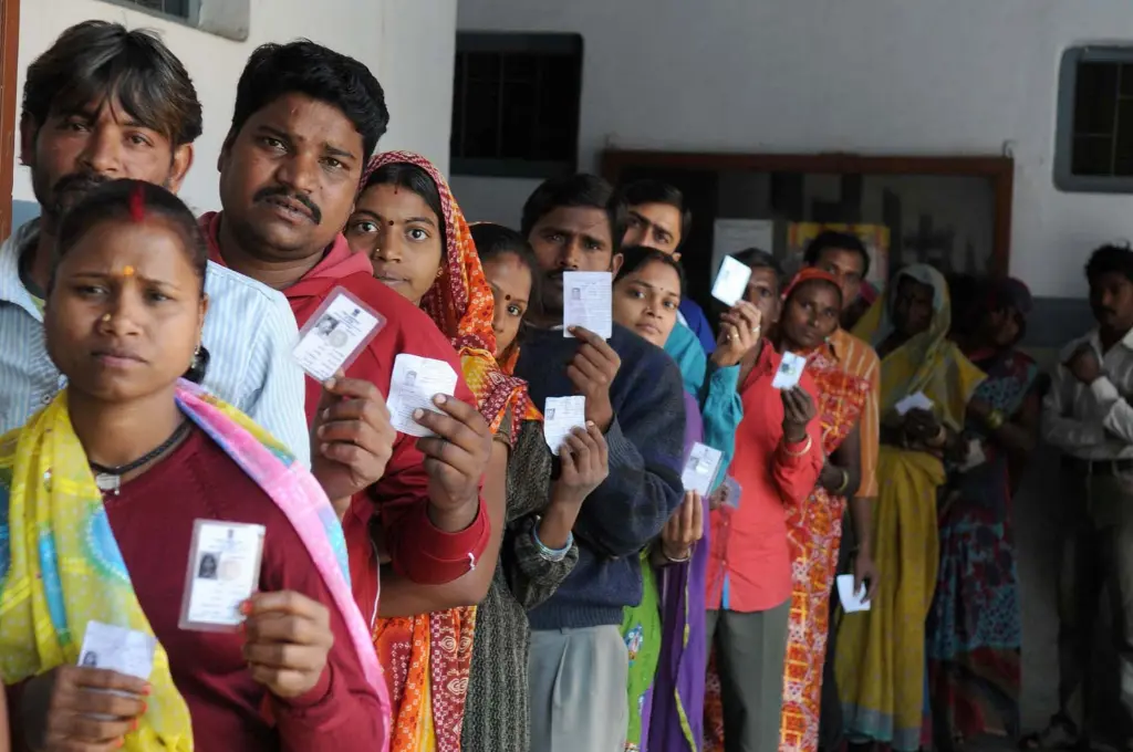 A line of people holding up their voter ID cards